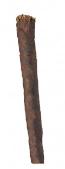 BackWoods