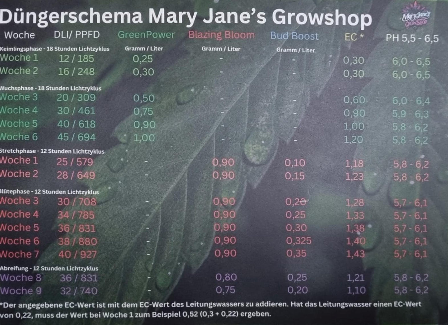 Mary Janes "Blazing Bloom - All in One" 500g