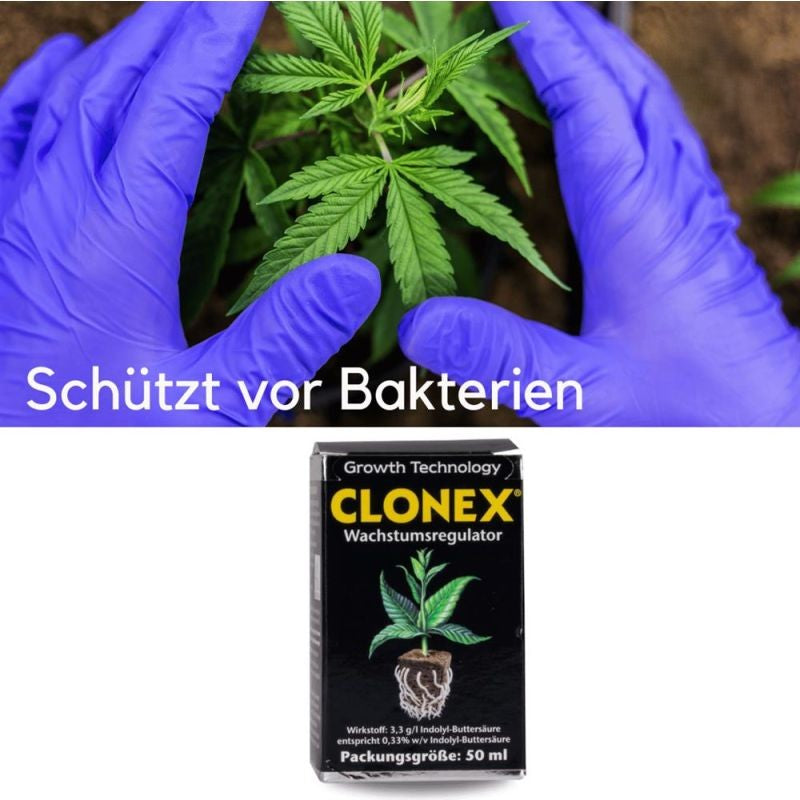 Clonex Wurzelgel 50ml