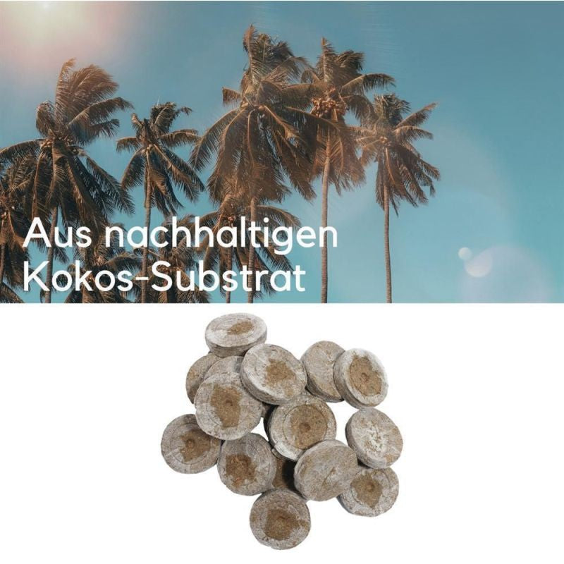 Jiffy Torfquelltöpfe 10 Stück