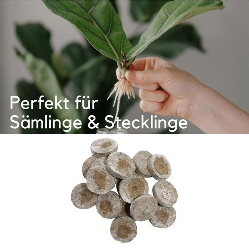 Jiffy Torfquelltöpfe 10 Stück