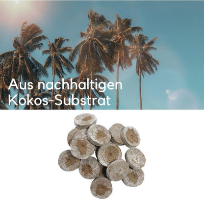 Jiffy Torfquelltöpfe 10 Stück